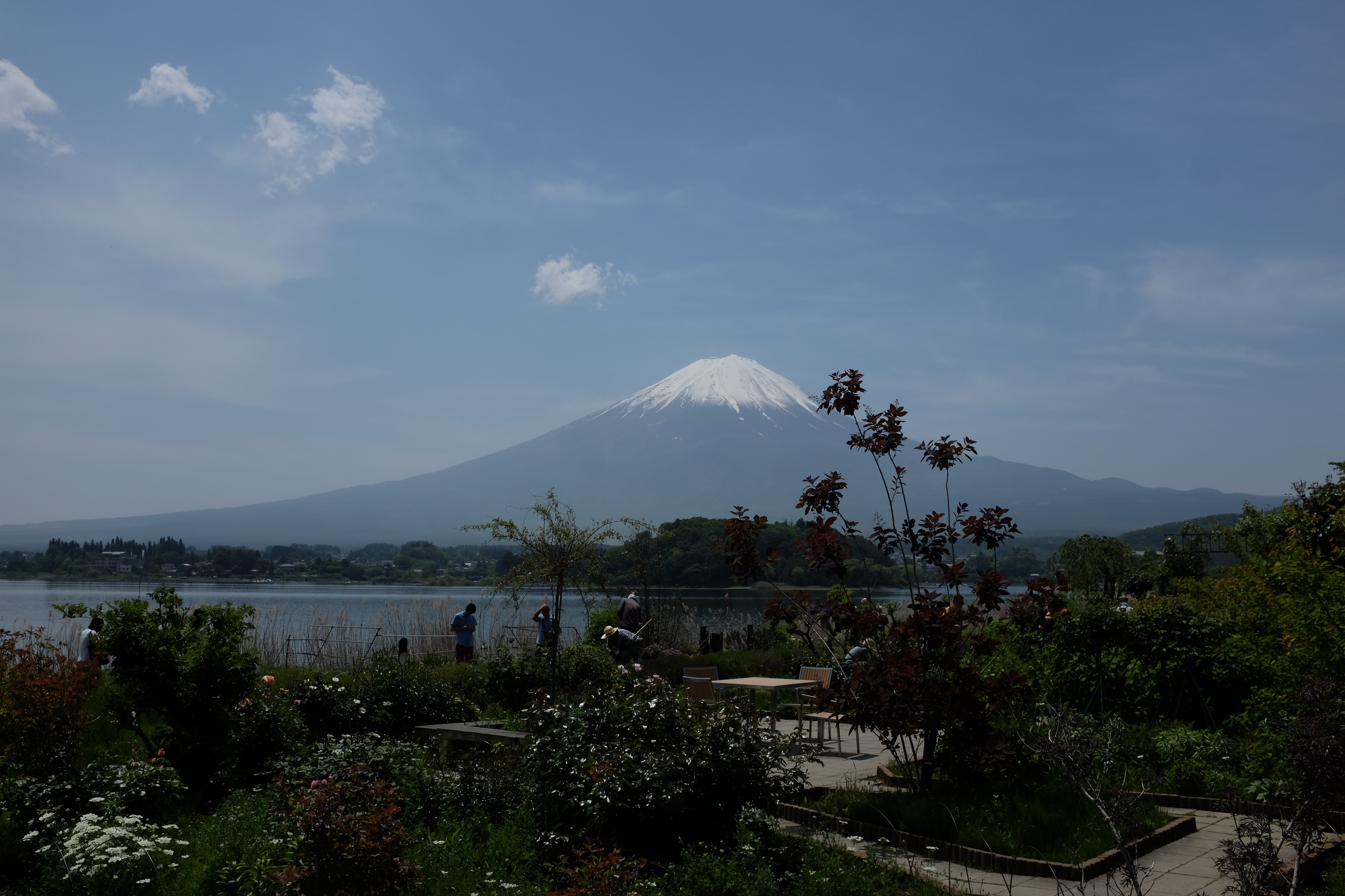 fuji_4