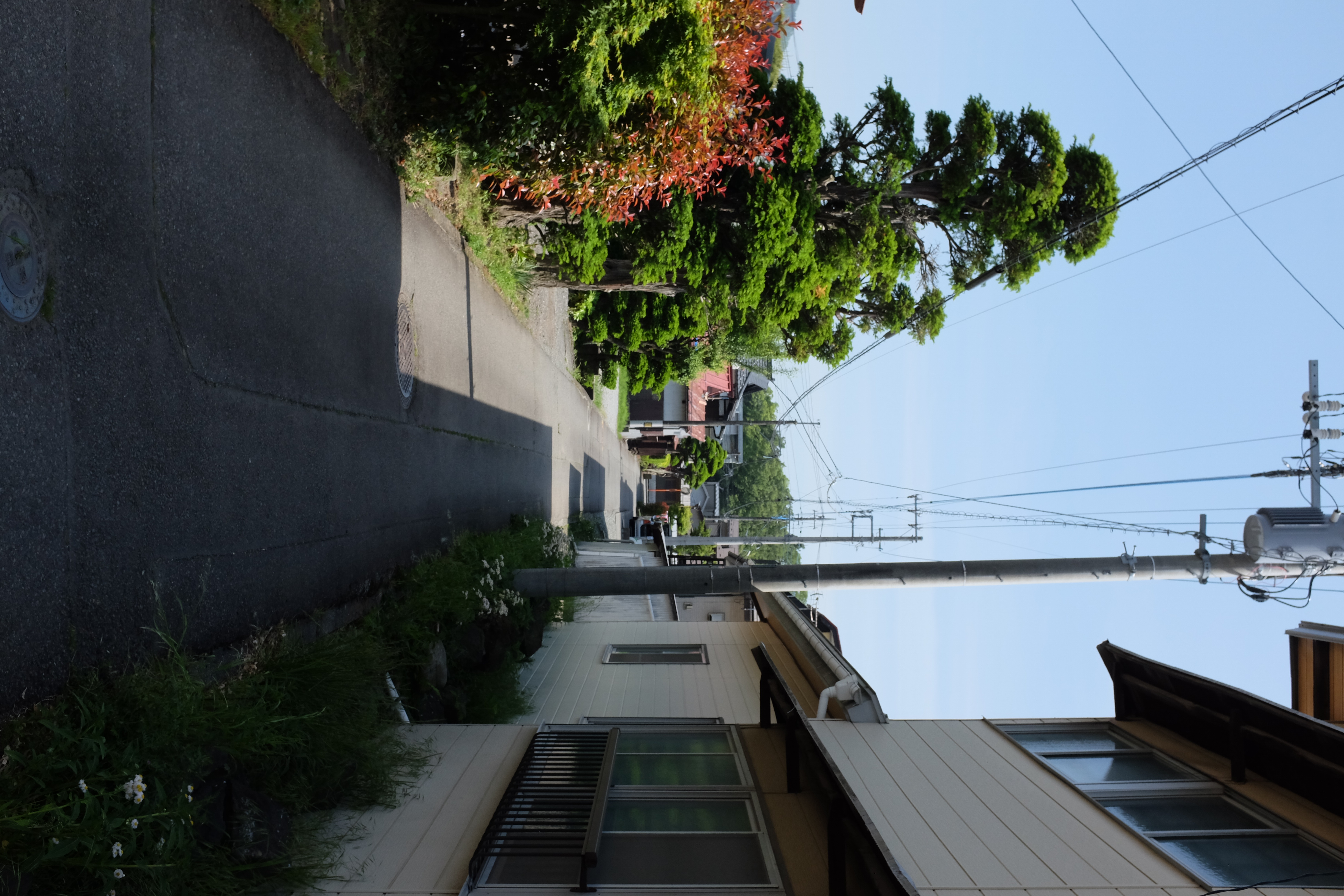 fuji_6