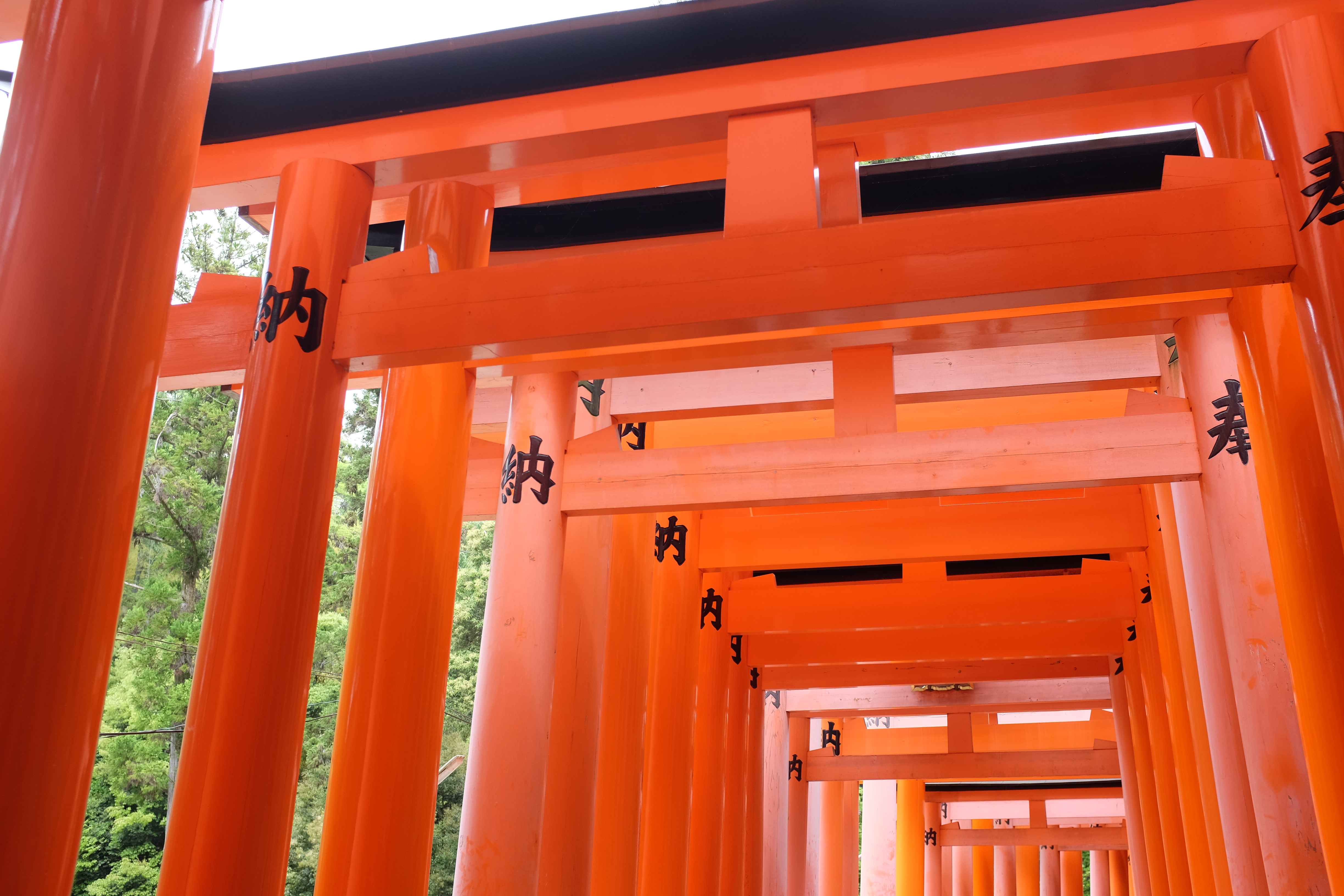 kyoto_fushimi_3