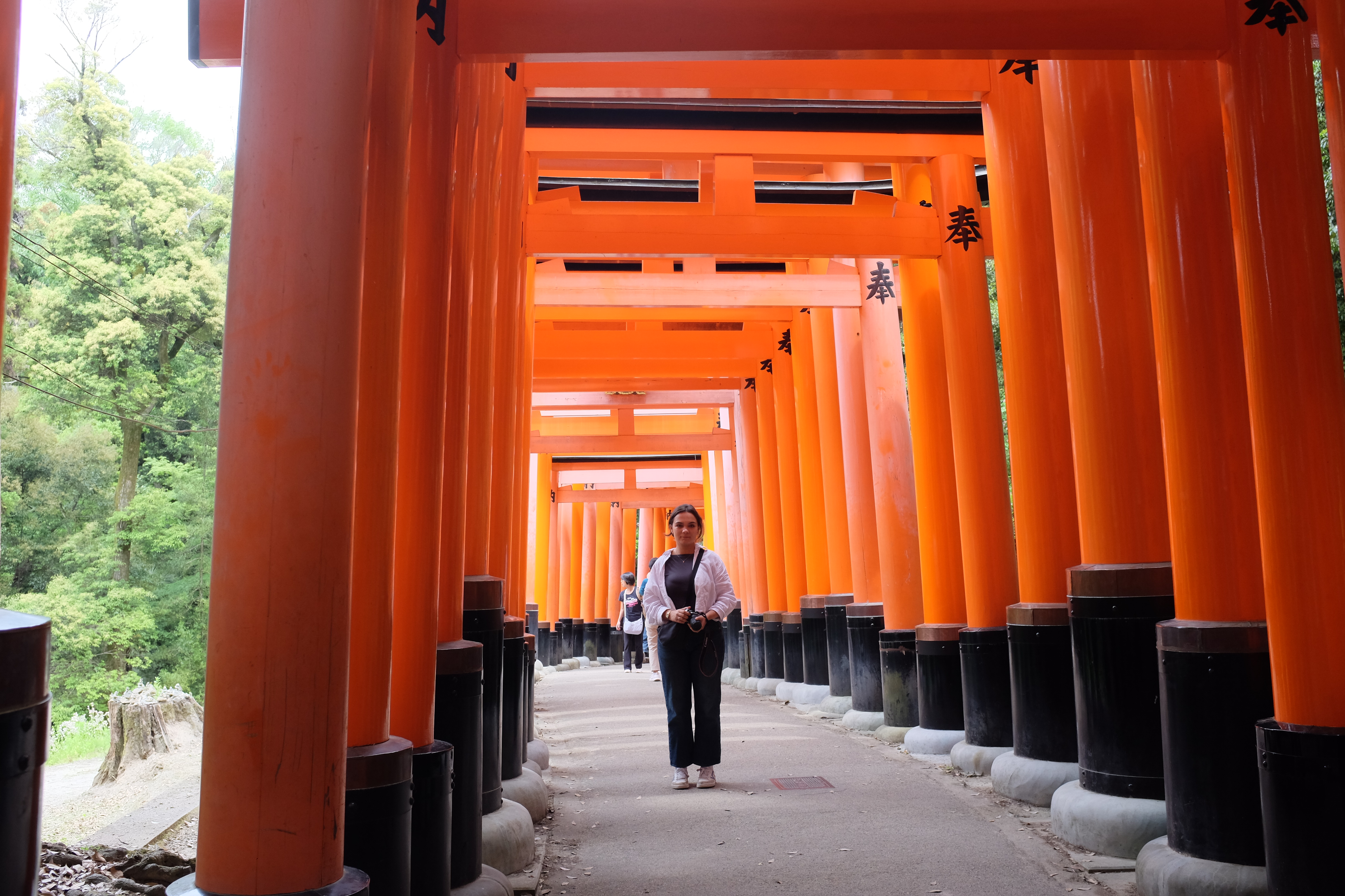kyoto_fushimi_4