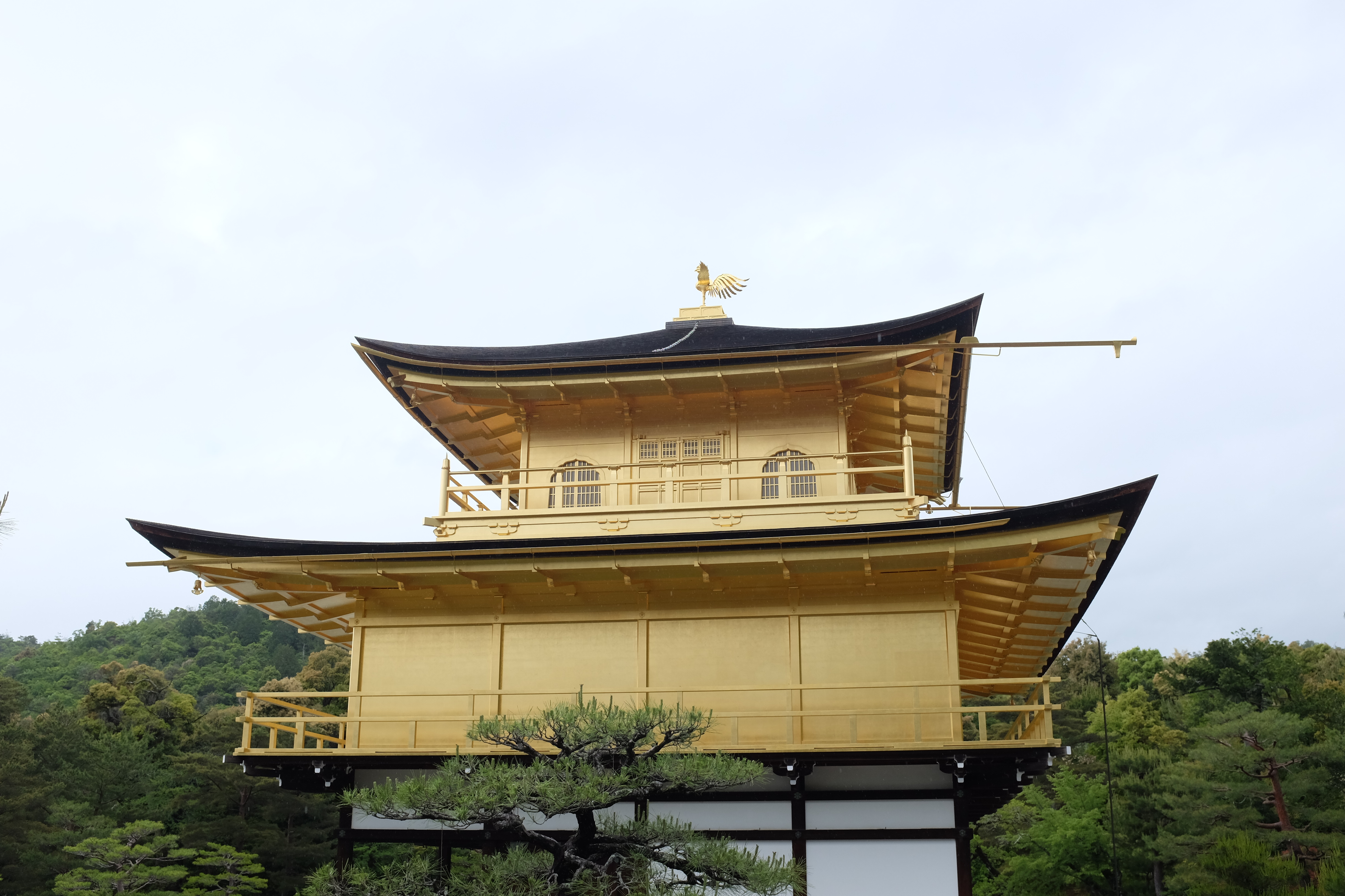 kyoto_kinkaku-ji_5