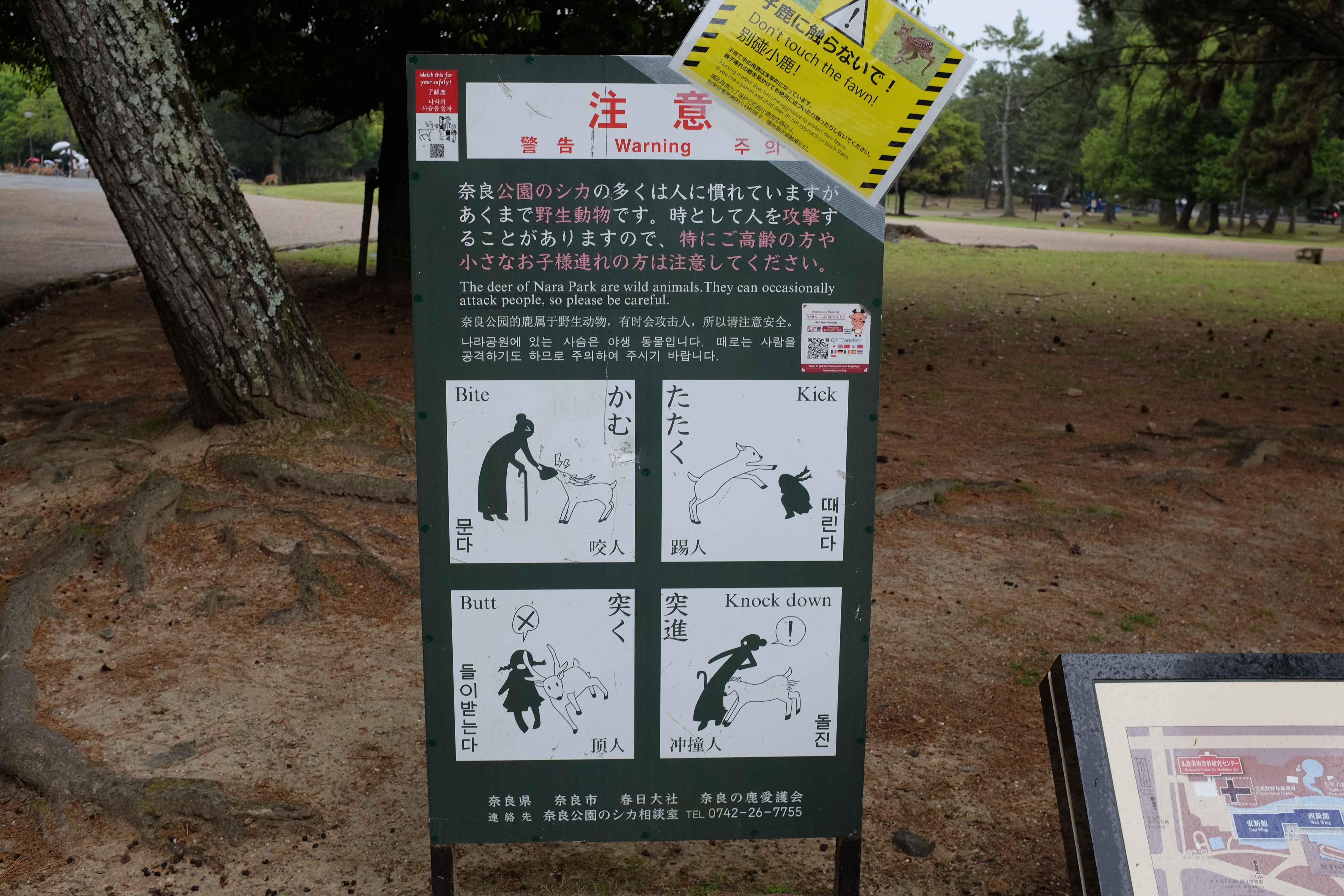 nara_1