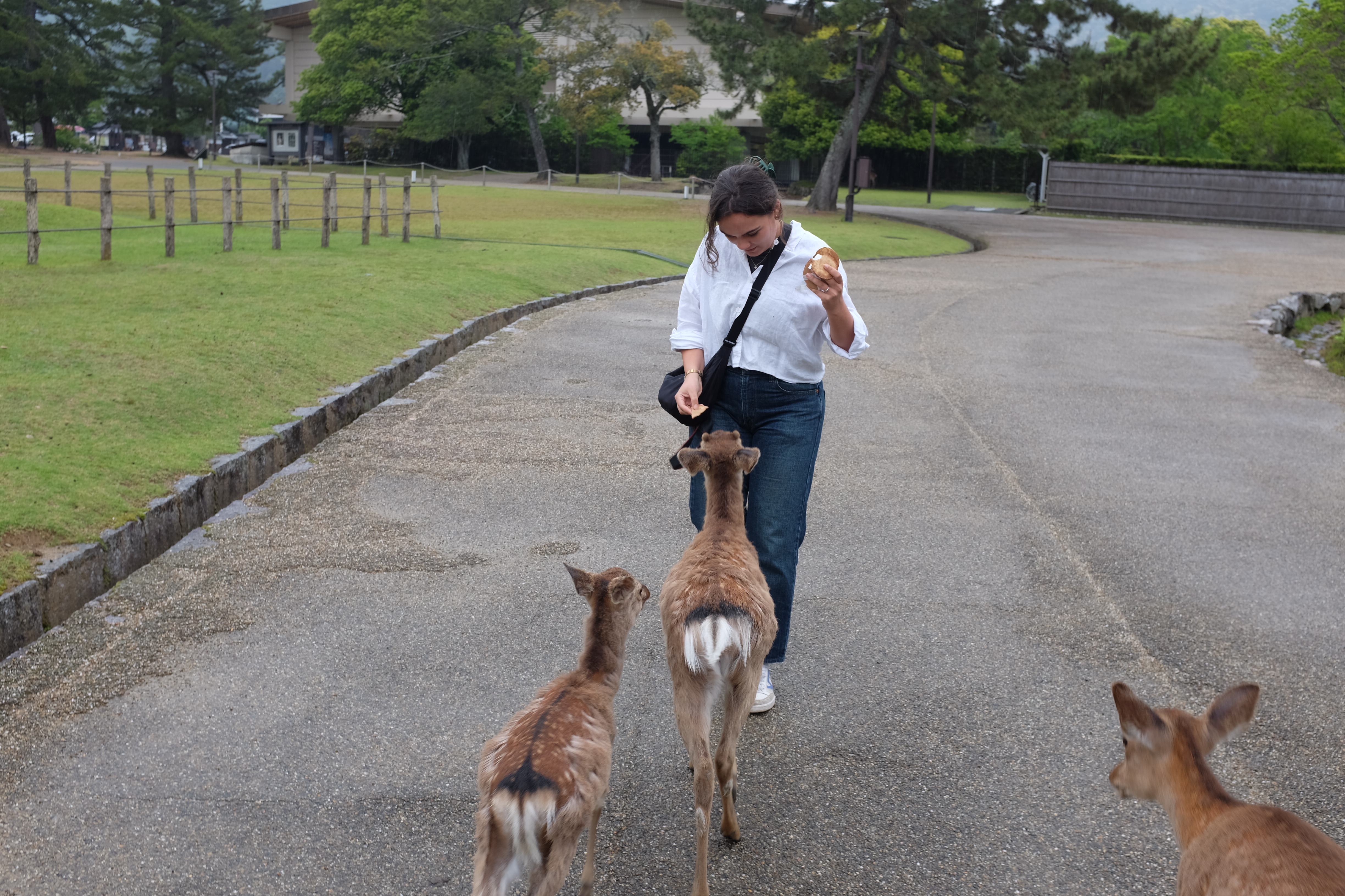 nara_2