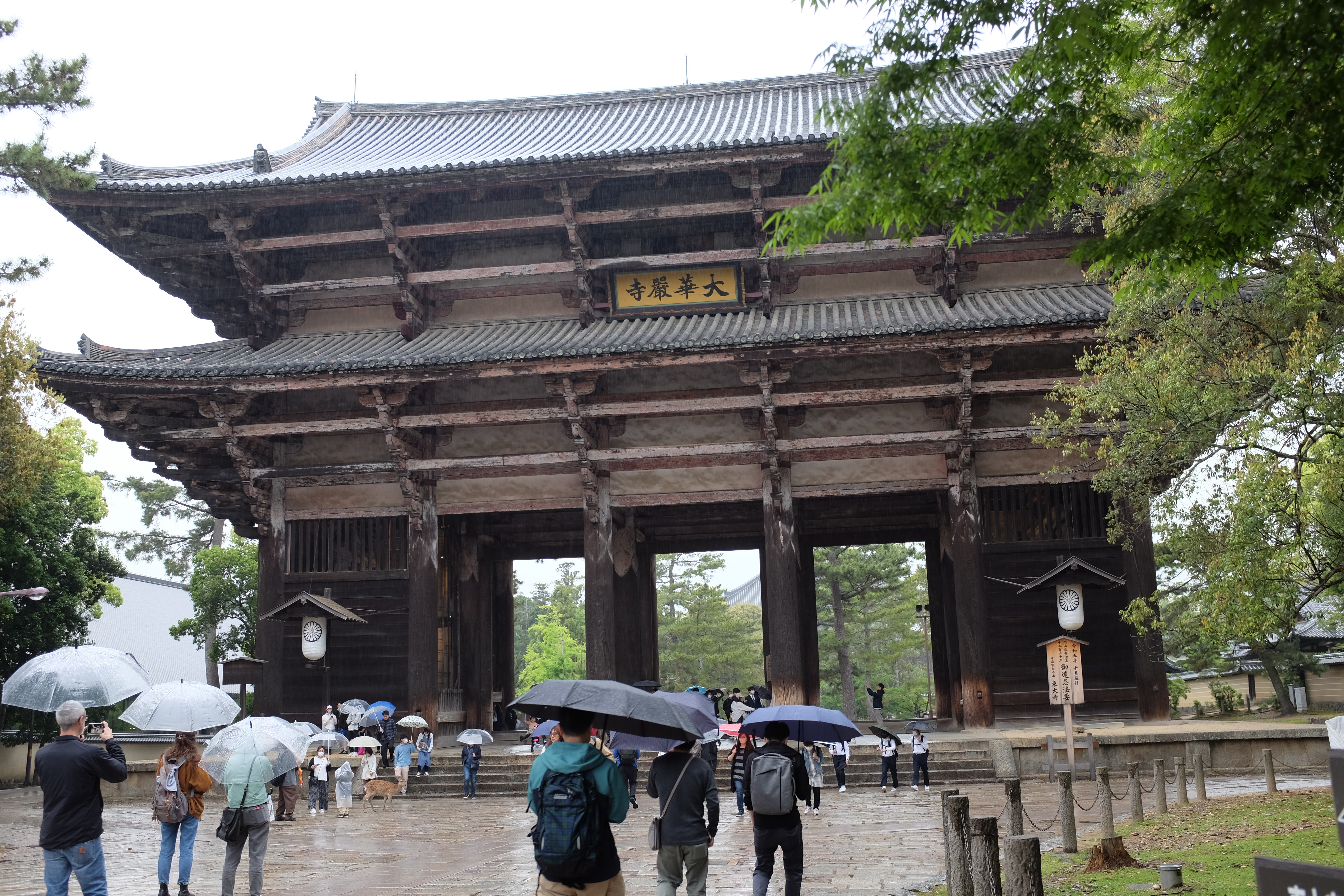 nara_4